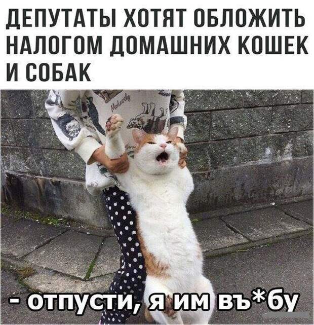 Смешные картинки