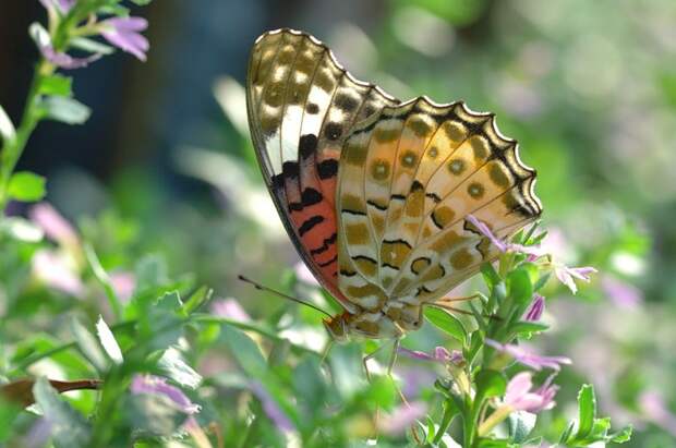 Есть только миг между прошлым и будущем... Есть только миг между прошлым и будущем...