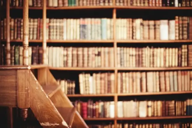 Эволюция мозга