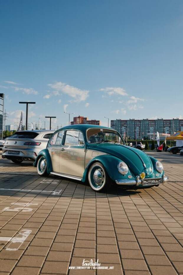 autocult fest 2024 2