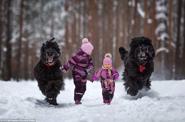 Маленькие дети Санкт-Петербурга и их огромные четвероногие друзья дети, животные, собаки, фотография