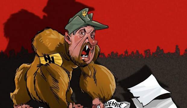 В украинской армии закипает недовольство неопределенностью