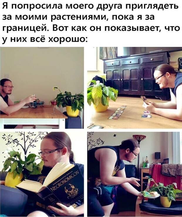 Порция позитивчика в 25 картинках