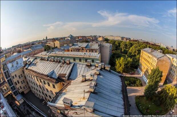 Прекрасный мир питерских крыш