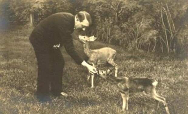 Гитлер кормит детенышей оленей в парке.