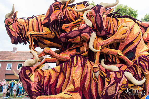 Невероятное зрелище! В Голландии прошел парад гигантских цветочных скульптур голландия, конкурс, красота, парад, цветы