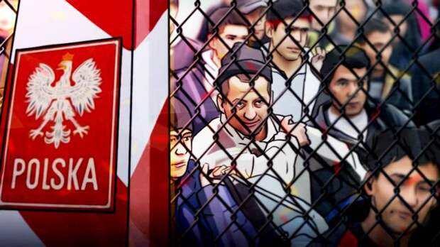 Сенатор Ковитиди раскусила план ЕС по назначению «главного виновника» миграционного кризиса
