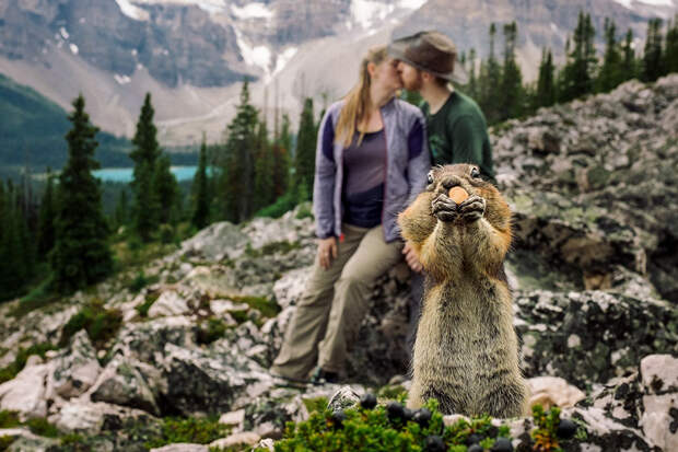 A Squirrel Photobombed Engagement Photoshoot In The Most Adorable Way Ever