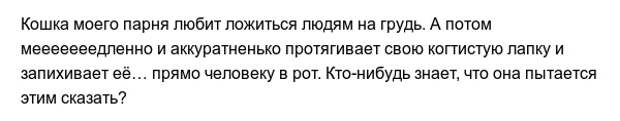 Забавные привычки наших любимых питомцев Забавные привычки наших любимых питомцев