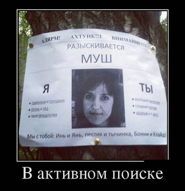 Разные прикольные демотиваторы