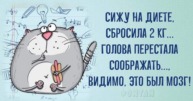 Классные анекдоты и шутки в картинках, которые подарят чудесное настроение
