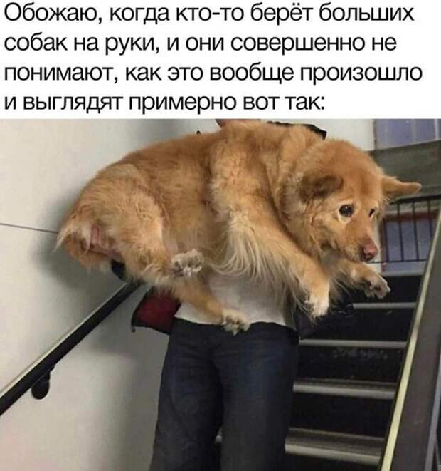 Картинки для улучшения настроения и поднятия тонуса Картинки для улучшения настроения и поднятия тонуса