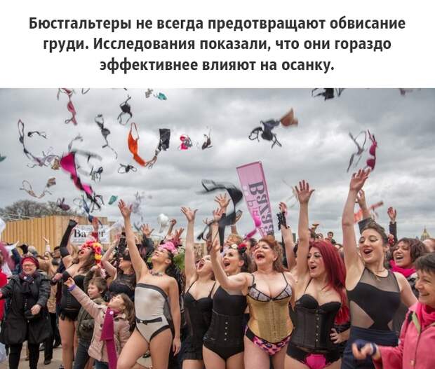 25 малоизвестных фактов о груди, которые должен знать каждый грудь, факты