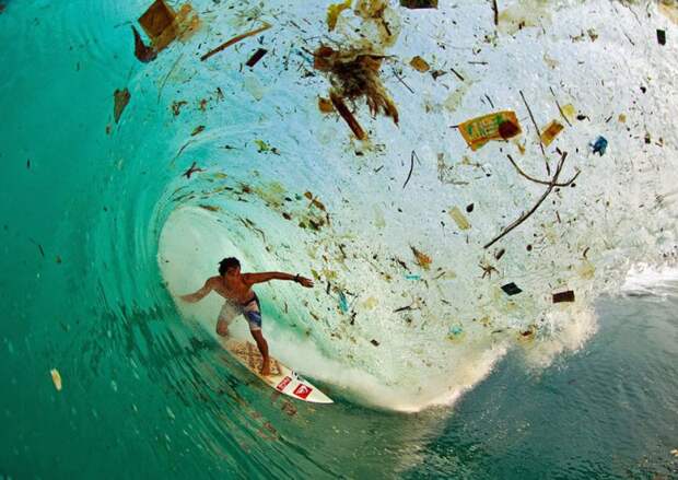 22 жутчайших фото-факта о том, как мусор убивает нашу планету