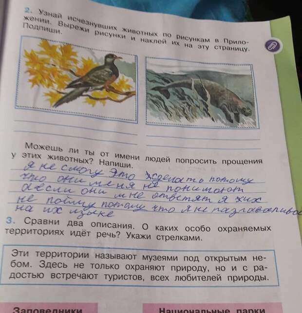 Общение с инопланетянами и нетрадиционное мышление: как и чему учат современные учебники