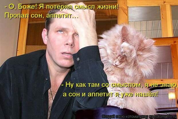 Лучшие котоматрицы недели (50 фото)