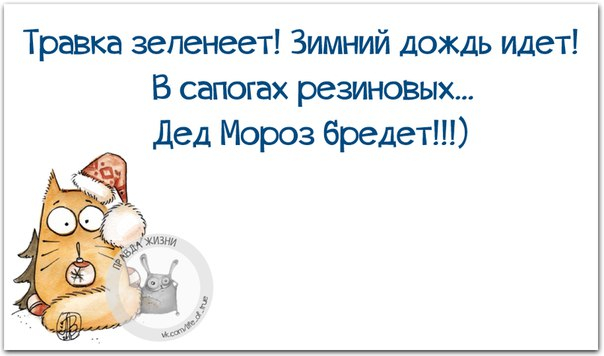 Немного новогодней «Правды жизни» (30 картинок)