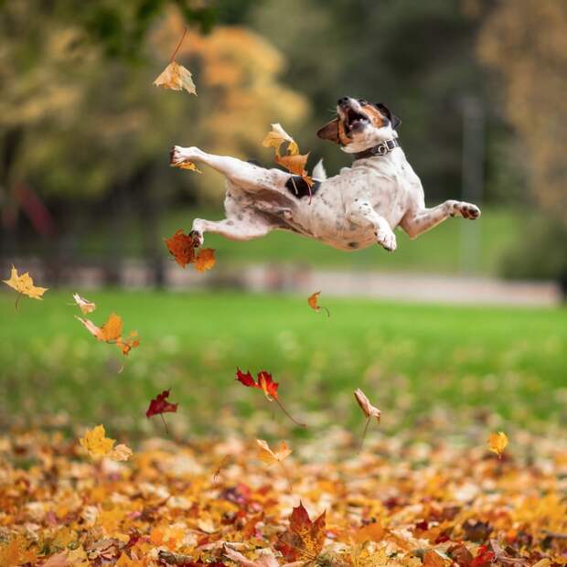 best-photos-of-the-month-november-2014-artnaz-com-19