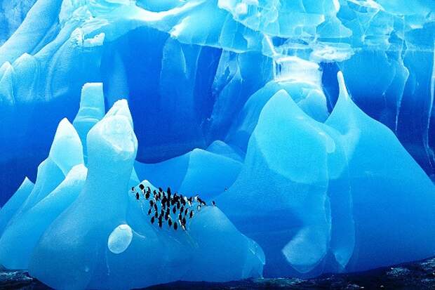 Фотография: 25 удивительных айсбергов и ледников со всего мира №4 - BigPicture.ru