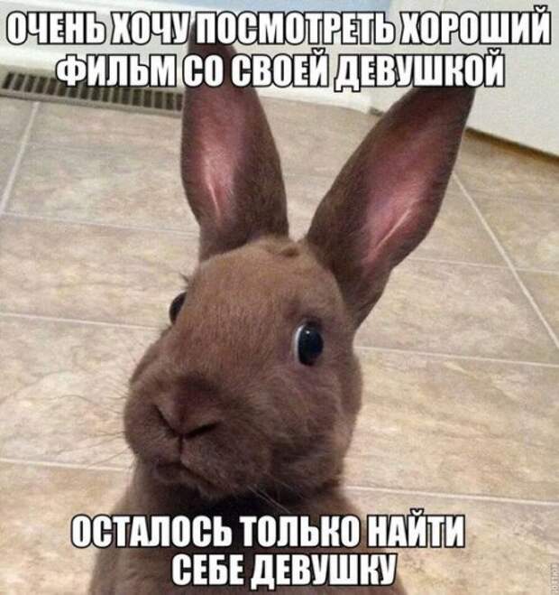 Приколы в картинках (39 шт)