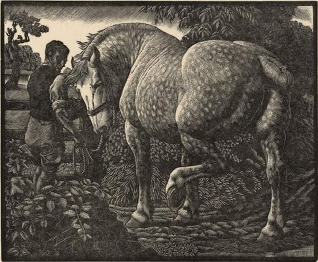 151217-ysgythriadau-ac-engrafiadau-charles-f-tunnicliffe.jpg 151217-ysgythriadau-ac-engrafiadau-charles-f-tunnicliffe.jpg