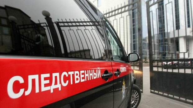 СК начал проверку информации об избиении женщины в петербургском парке