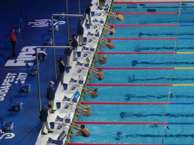 Соревнования по плаванию