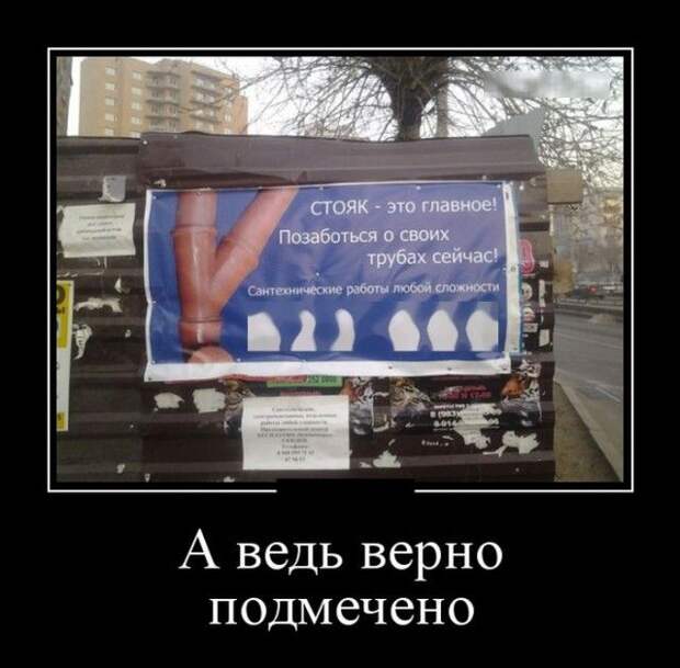 Демотиваторы (30 фото)