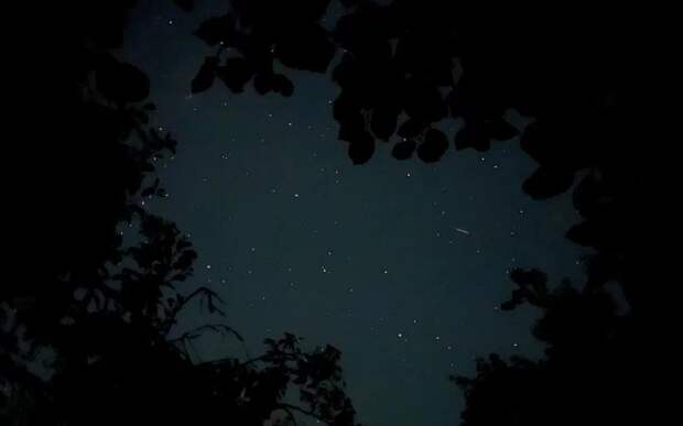 Рязанцы 29 марта смогут увидеть закрытие Луной звезды Регул