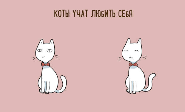 10 шуточных причин, по которым стоит завести себе кота