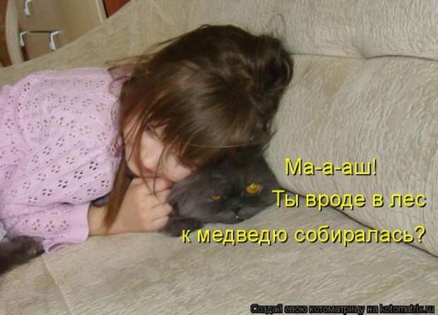 Свежая котоматрица на Бугаге (33 фото)