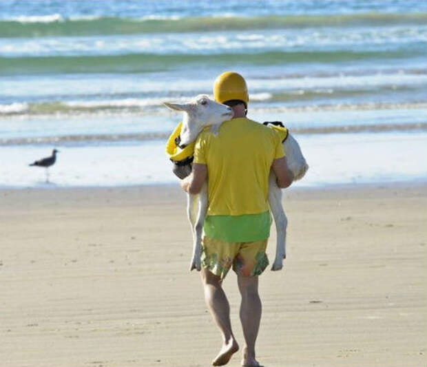 Боги пляжного сезона: 20 лучших снимков о том, как кто провел лето.