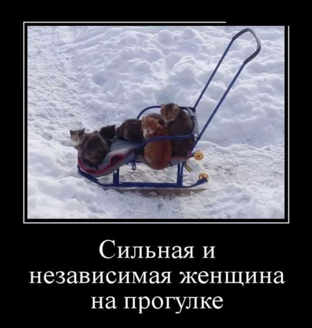Прикольные демотиваторы с надписями. Подборка chert-poberi-dem-chert-poberi-dem-54310203102020-13 картинка chert-poberi-dem-54310203102020-13