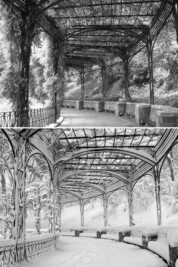 before-after-summer-winter-photography-changing-seasons-timelapse-13-57611c5554586__880