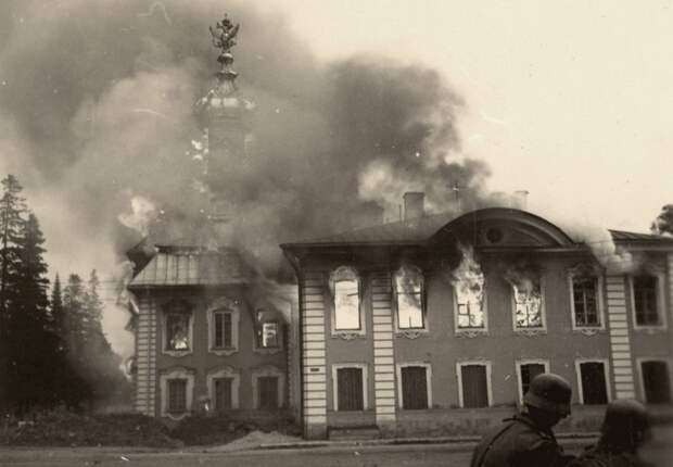 7 фото разрушенного после войны Петергофа