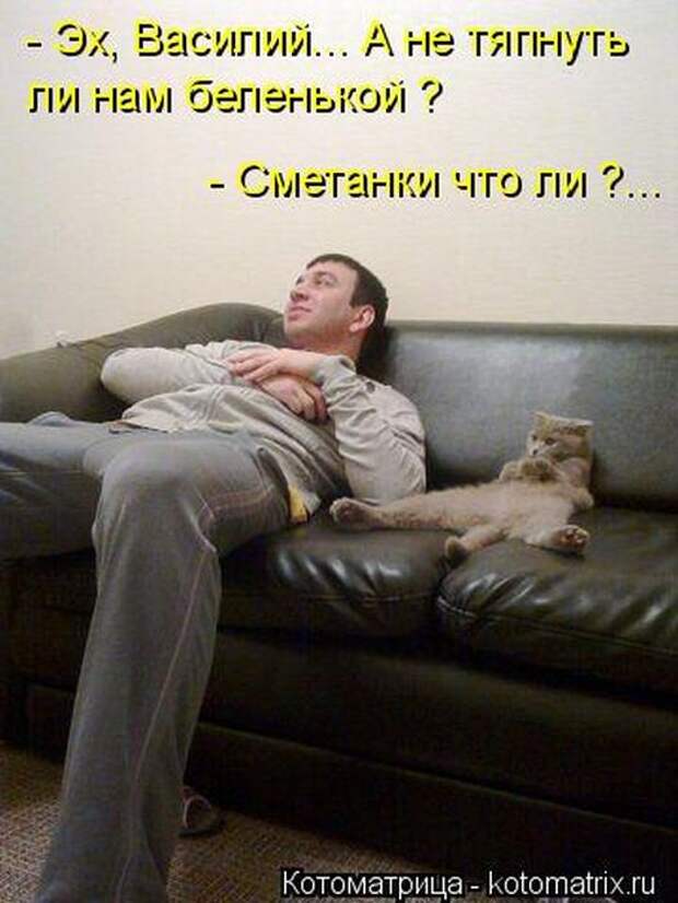 Котоматрицы (картинки с надписями)