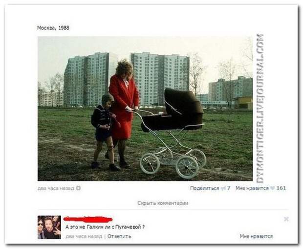 Голоса из соцсетей