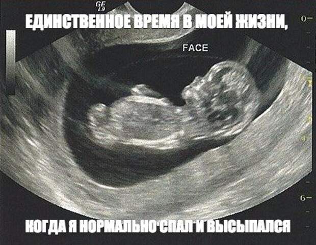 Смешные картинки с надписям