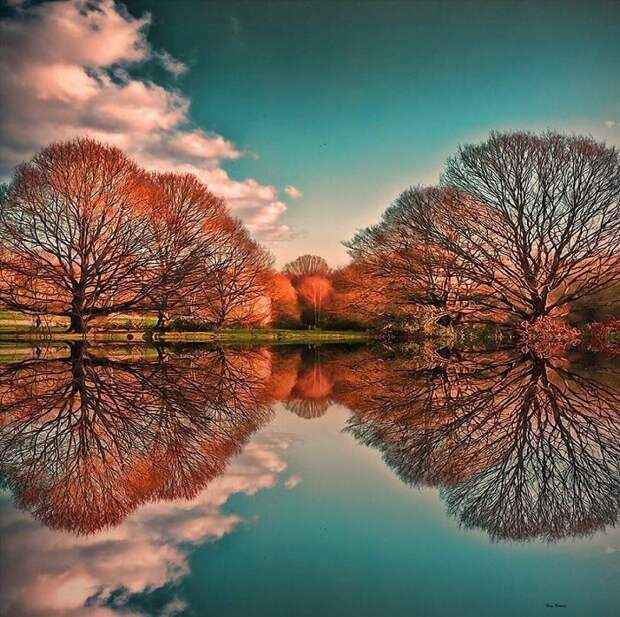 amazing-reflections-optical-illusions-38-5836d9346d198__700