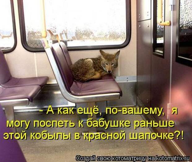Котоматрицы(картинки с надписями)