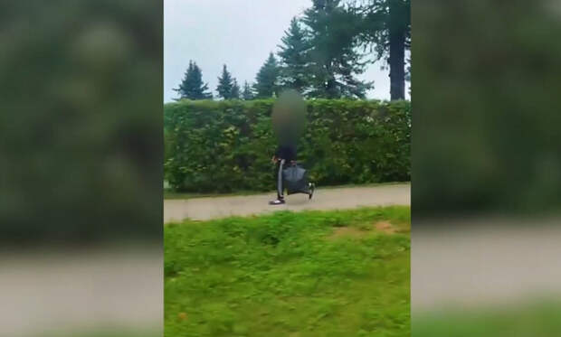 Задержан вандал, вырвавший цветы у Вечного огня в Смоленской области