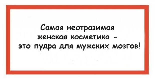 Забавные рассуждения о жизни