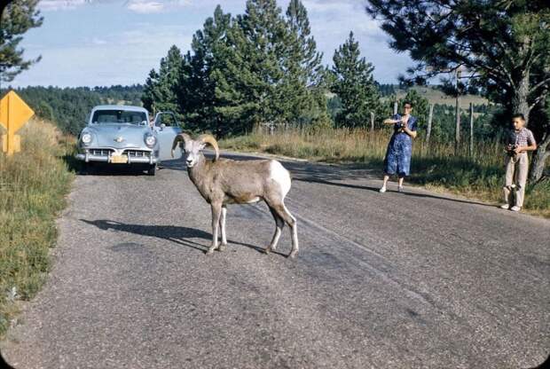 авто, америка, олдтаймер