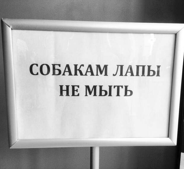 Дискриминация в чистом виде дискриминация, прикол, юмор