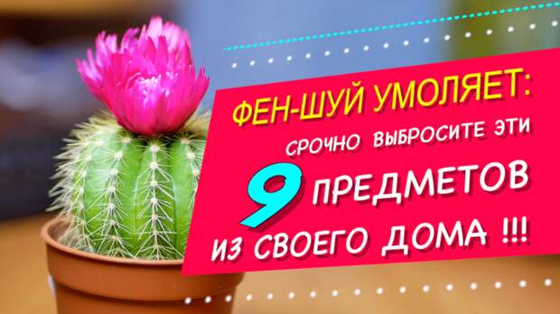 Какие 9 вещей в вашем доме притягивают неудачу: советы фен-шуй, что нельзя держать дома