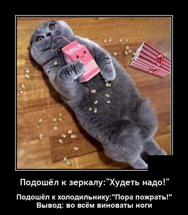 Демотиваторы 27 апреля 2021