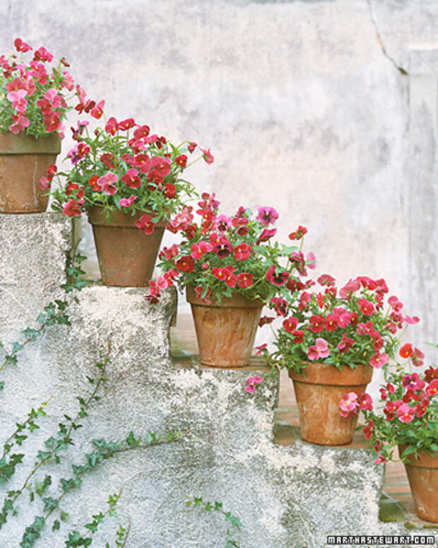 flowers-container-ideas-by-marta11 (400x500, 272Kb)
