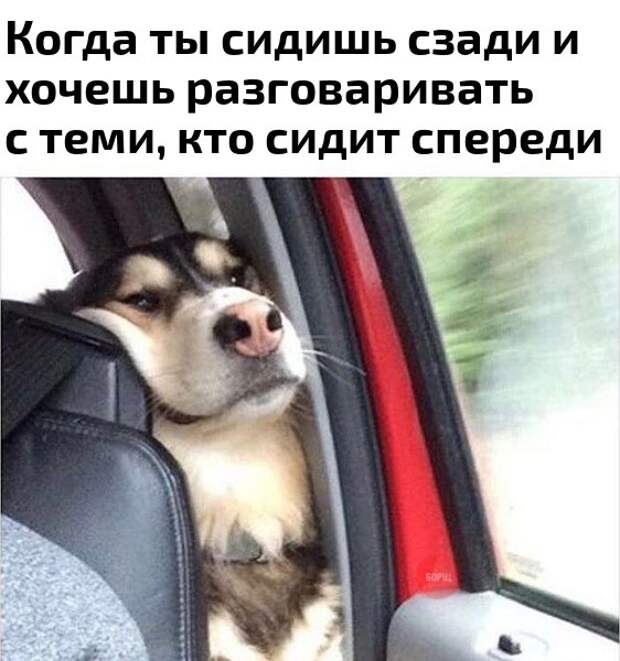 Свежие картинки с надписями для ценителей (11 фото) Свежие картинки с надписями для ценителей (11 фото)