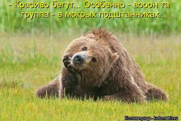 Котоматрицы (картинки с надписями)