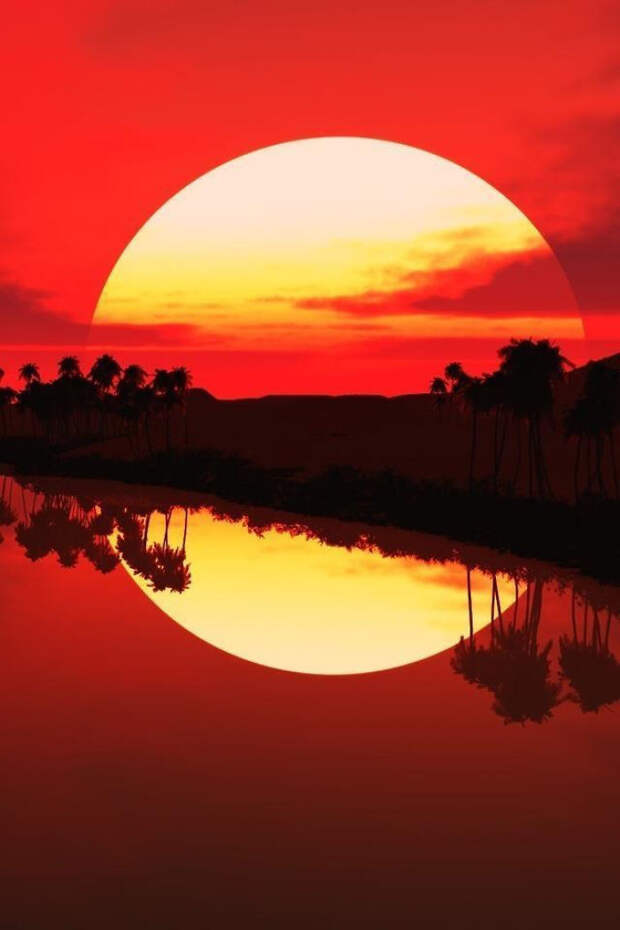 amazing-reflections-optical-illusions-6-5836d8e32f4ed-png__700